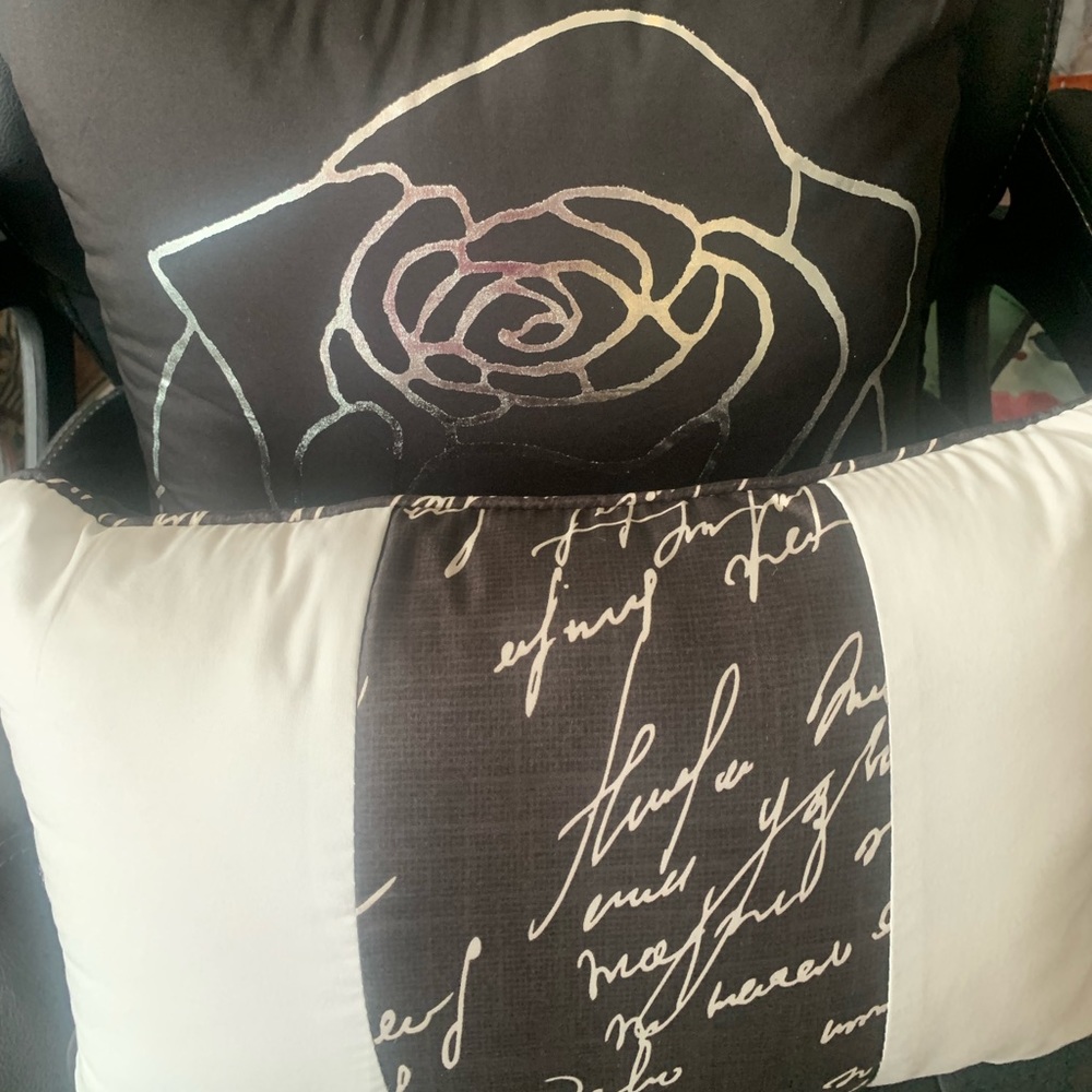 Two decorative throw pillows in black white and silver